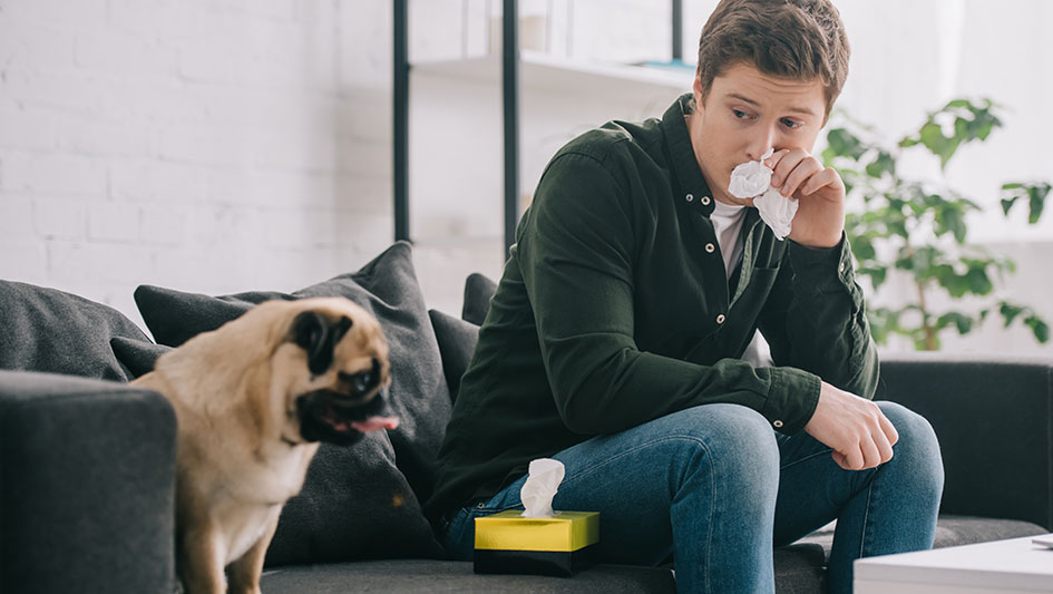 Getting an air purifier is one of the best ways to improve your home’s indoor air quality. Discover more about the three best options. 